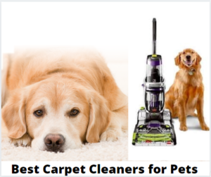 Best Carpet Cleaner for Pets