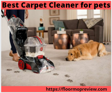 Best Carpet Cleaner for Pets