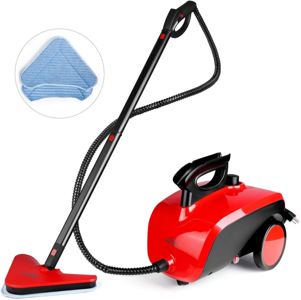 small steam cleaner